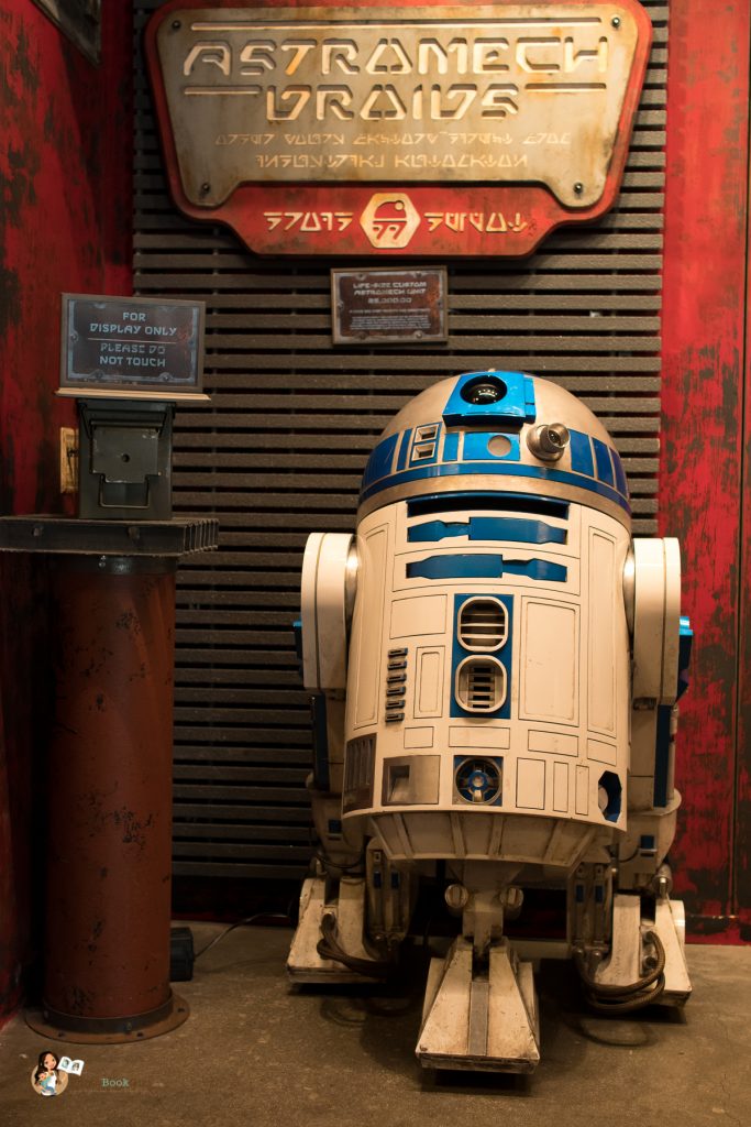 Galaxy's Edge Star Wars Disneyland 2019