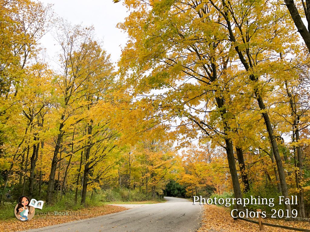 Photographing Fall Colors 2019