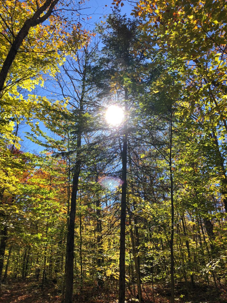 Fall foliage 2018 Wisconsin