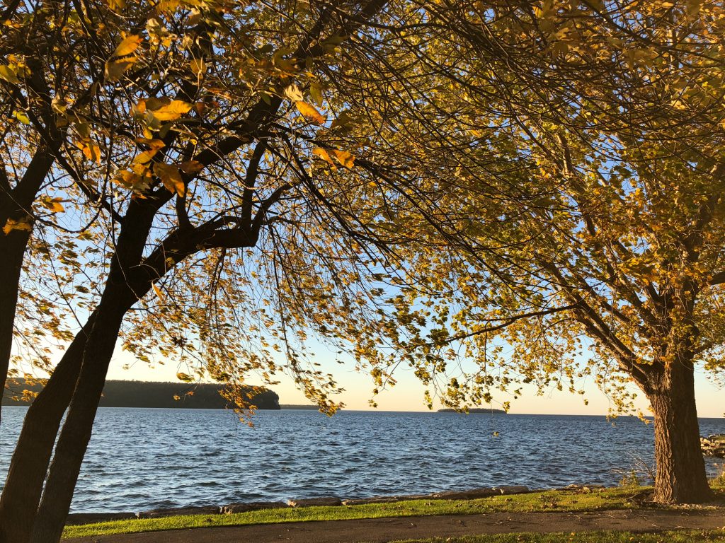 Fall foliage 2018 Wisconsin