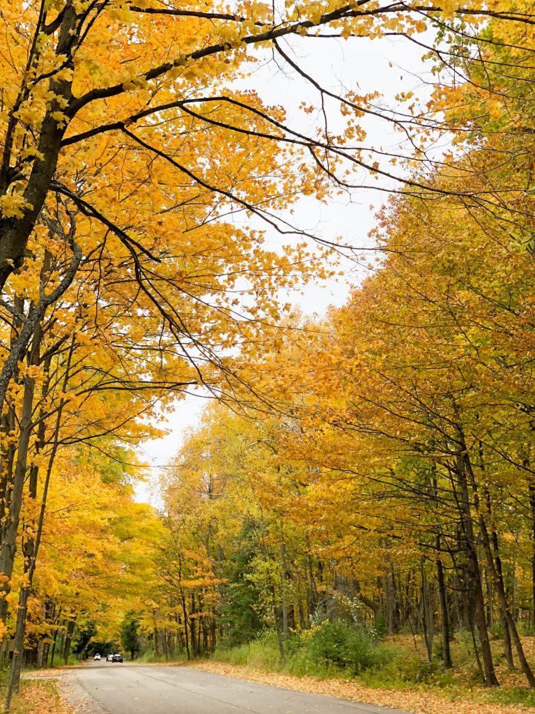 Fall foliage 2018 Wisconsin