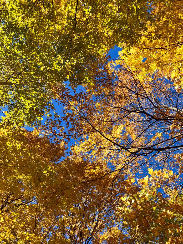 Fall foliage 2018 Wisconsin